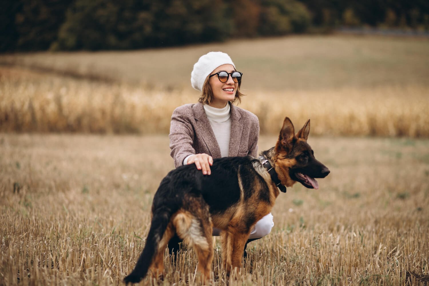 What Is My Dog's Age in Human Years?