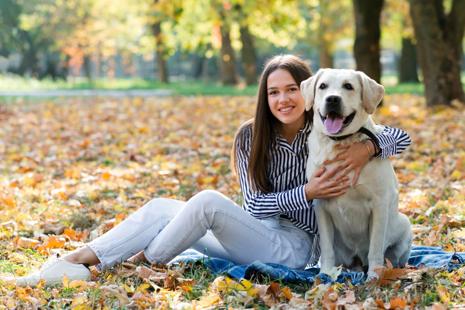 Is 7 Years Old for a Dog?