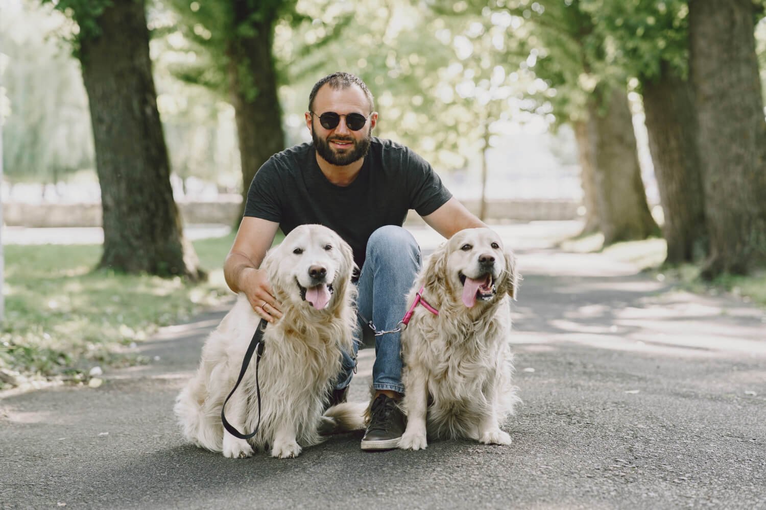 What Is 18 Dog Years in Human Years?