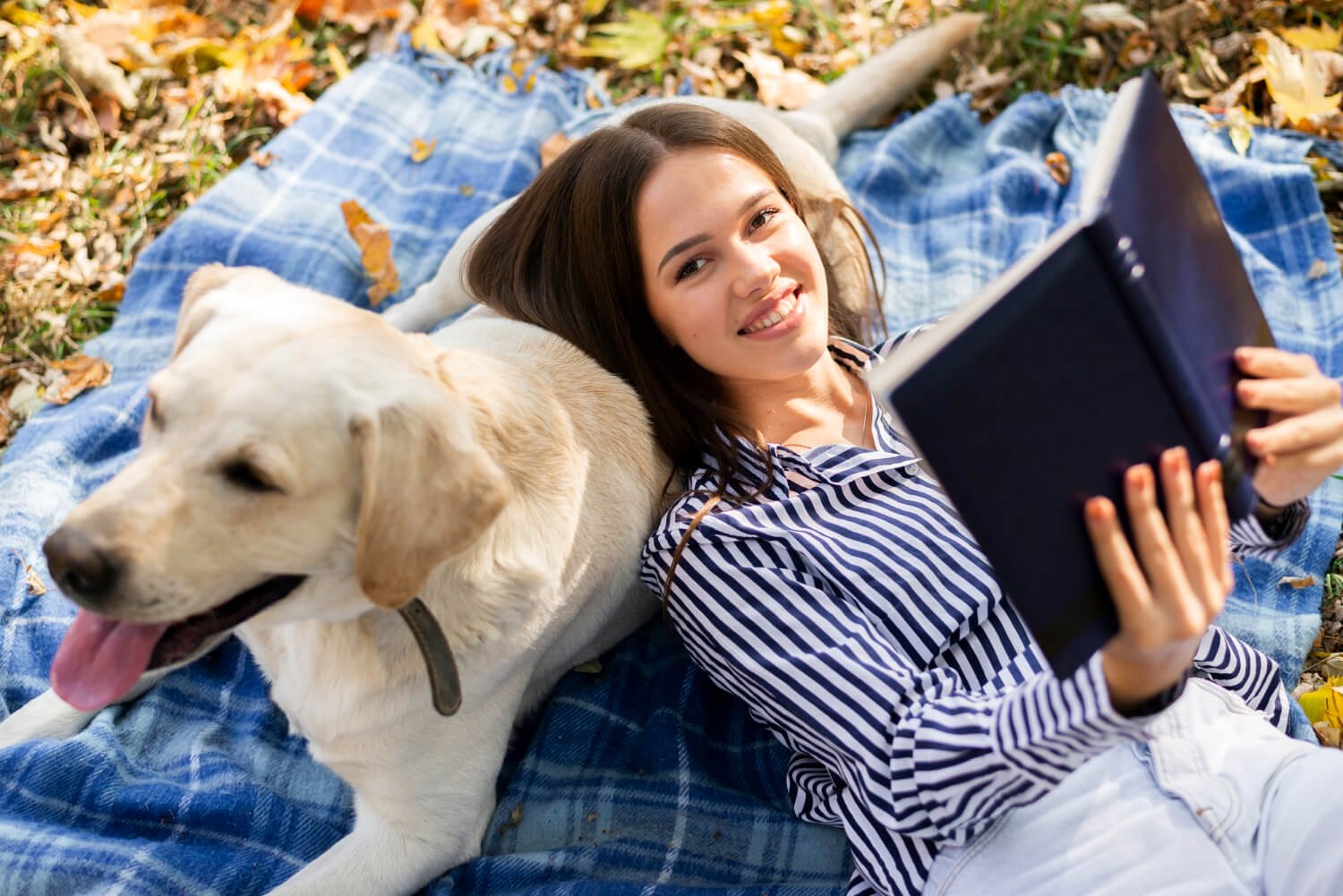 What Is the Real Way to Calculate a Dog's Age in Human Years?