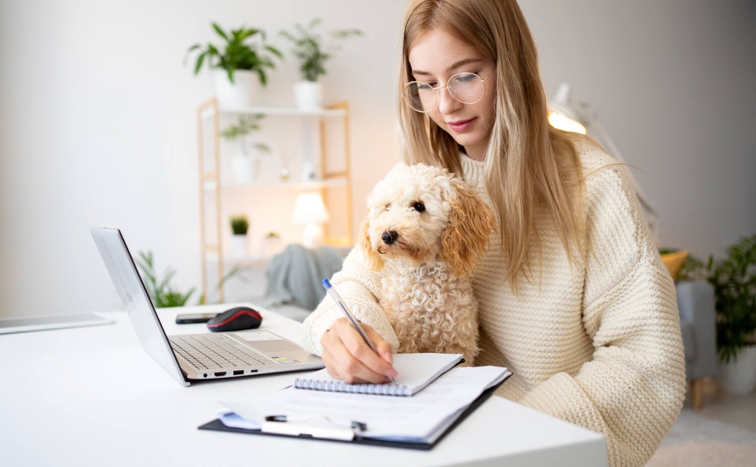What Does the DNA Formula Say About Dog Years?